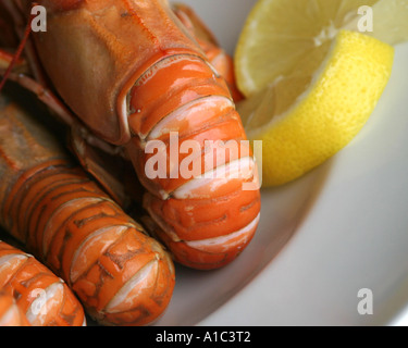 Langoustines écossais frais (grandes crevettes) servi de citrons Banque D'Images