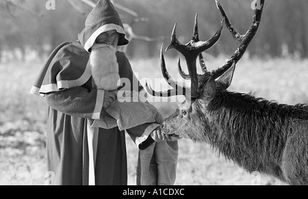 Homme habillé en père Noël nourrir un cerf cerf dans la neige pour une photo publicitaire. Banque D'Images