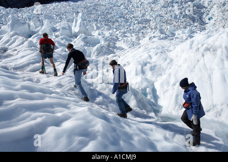 Heli les randonneurs de Franz Josef Glacier Côte ouest de l'île du Sud Nouvelle-Zélande Banque D'Images