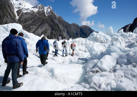 Heli les randonneurs de Franz Josef Glacier Côte ouest de l'île du Sud Nouvelle-Zélande Banque D'Images