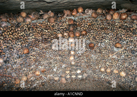 Des crânes et des ossements empilés dans les passages dans les Catacombes de Paris France Banque D'Images