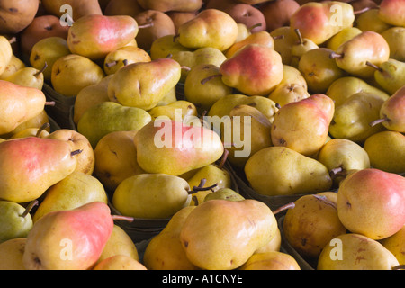 Les poires à la vente à un marché de producteurs dans le centre de la Floride, USA Banque D'Images