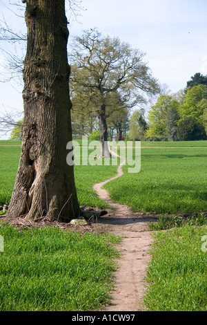 Les terres agricoles à travers le sentier Royal Vale Cheshire Banque D'Images