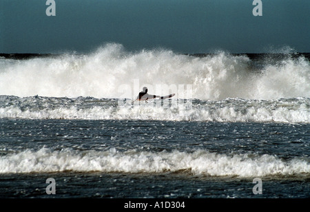 Le surf en hiver Banque D'Images