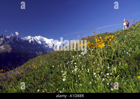 Randonneur féminin contemplant la vallée de Chamonix et le massif du Mont blanc, Alpes françaises, France Banque D'Images