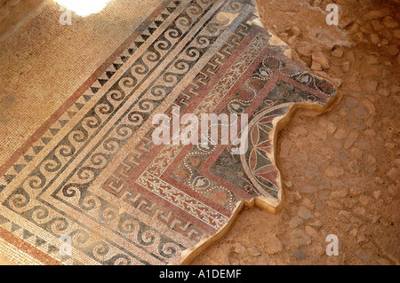 Sol de mosaïque dans un bain rituel (Mikva) dans la région de Masada Banque D'Images