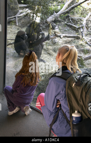 Deux jeunes filles s'agenouiller à fenêtre pour regarder gorille à Woodland Park Zoo Seattle Washington USA Banque D'Images