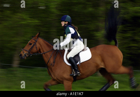 Cleveland Bay Thoroughbred cross bay horse bucks au cours de cross country à la section concours complet United Kingdom Banque D'Images