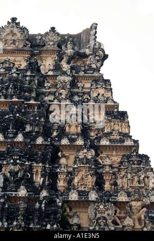 Détail de Shri Padmanabhaswamy temple roof Trivandrum, Kerala, Inde. Banque D'Images