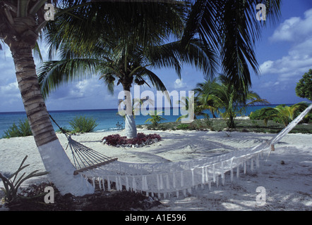 Belle scène de détente : hamac suspendu entre deux palmiers sur une plage de sable blanc dans l'idyllique Grand Cayman Islands, Caribbean Banque D'Images