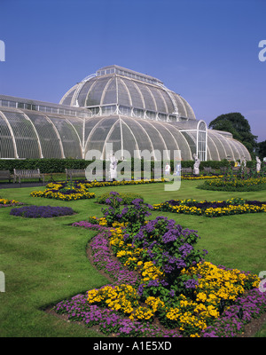 Palm House à Kew Gardens près de Londres, Angleterre Banque D'Images