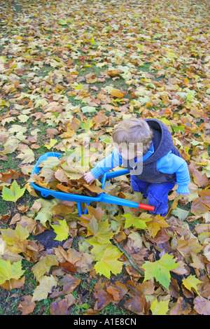 Remplissage d'un petit garçon avec des feuilles de Barrow Banque D'Images