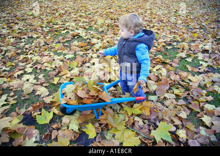 Remplissage d'un petit garçon avec des feuilles de Barrow Banque D'Images