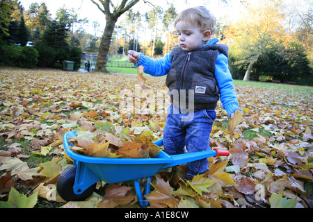 Remplissage d'un petit garçon avec des feuilles de Barrow Banque D'Images