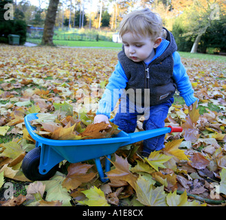 Remplissage d'un petit garçon avec des feuilles de Barrow Banque D'Images