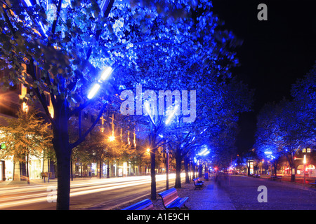 Unter den Linden à Berlin pendant la Fête des Lumières, l'Allemagne, Berlin Banque D'Images