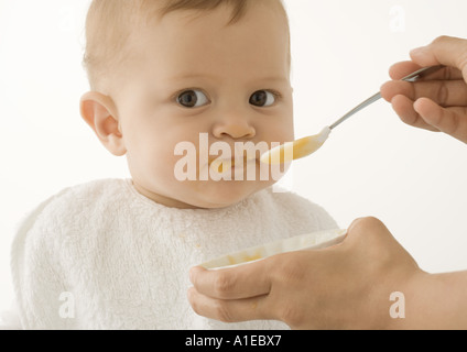 Bébés nourris Banque D'Images