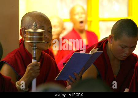 Moine dans le monastère de Namgyal livre et lecture personnelle des mains en rotation pendant les prières prières Banque D'Images