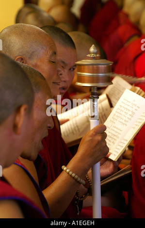 Moine dans le monastère de Namgyal livre et lecture personnelle des mains en rotation pendant les prières prières Banque D'Images