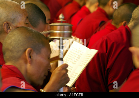 Moine dans le monastère de Namgyal livre et lecture personnelle des mains en rotation pendant les prières prières Banque D'Images