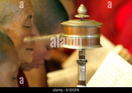 Moine dans le monastère de Namgyal livre de lecture et la prière personnelle des mains de spinning wheel - détail Banque D'Images