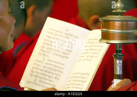 Moine dans le monastère de Namgyal livre de lecture et la prière personnelle des mains de spinning wheel - détail Banque D'Images