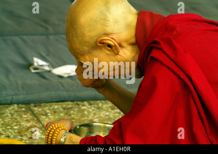 Moine bouddhiste femelle manger la soupe repas à partir de tôles d'acier inoxydable en monastère de Namgyal, McLeod Ganj Banque D'Images