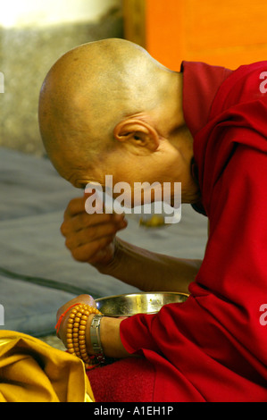 Moine bouddhiste femelle manger la soupe repas à partir de tôles d'acier inoxydable en monastère de Namgyal, McLeod Ganj Banque D'Images