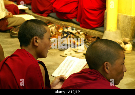 Les moines bouddhistes en monastère de Namgyal lecture livre durant les prières, McLeod Ganj Banque D'Images