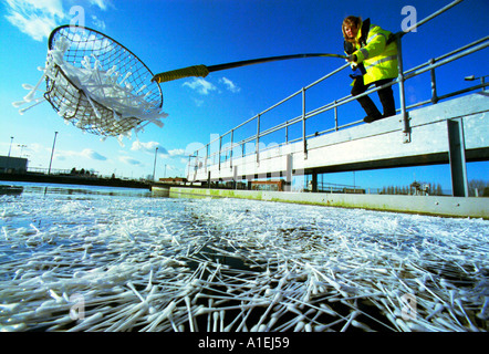 Une femme coton-tiges de pêche hors de traitement des eaux usées d'Oxford Banque D'Images