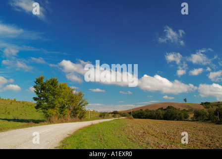 Deux familles de cyprès sur la colline près de San Quirico d'Orcia Val d'Orcia Toscane Italie Europe de l'UE Banque D'Images