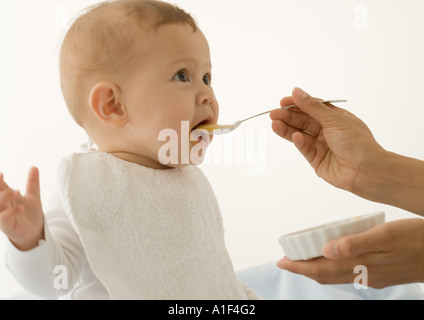 Aliments pour bébés nourris bébé Banque D'Images