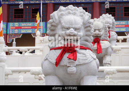 Statue de lion chinois Banque D'Images