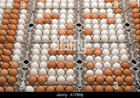 Pile d'oeufs de poule dans les bacs Banque D'Images