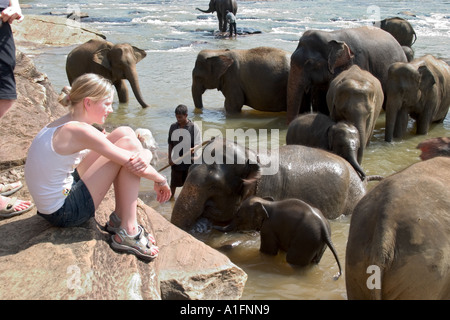 Les jeunes filles et les éléphants touristiques dans river éléphant de Pinnawela Nr Kandy au Sri Lanka Banque D'Images