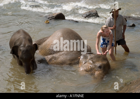 Woman lave-éléphant au fleuve. Orphelinat des éléphants de Pinnawela, Sri Lanka Banque D'Images