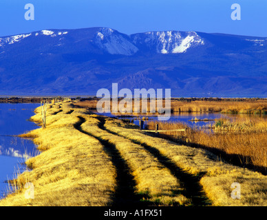 En route avec l'herbe d'hiver couvert de neige d'été Rim Lake State Wildlife Refuge Oregon Banque D'Images