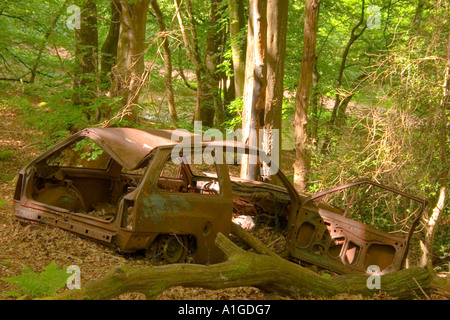 Voiture brûlée abandonnés en forêts Llanfoist SE Pays de Galles au Royaume-Uni. Banque D'Images