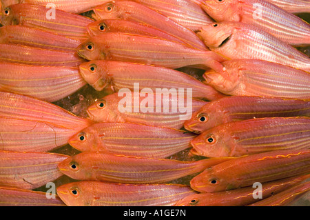 Photographie de stock de poissons dans les marchés de rue dans la région de Wan Chai de l'île de Hong Kong 2006 Banque D'Images