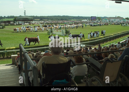 Une dame dans un fauteuil en regardant la grande parade des bovins au great yorkshire show Banque D'Images
