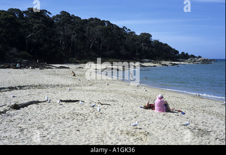 Old Pier Beach, Bridport, Tasmanie, Australie Banque D'Images