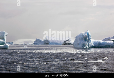 Les icebergs bleu flottant dans l'océan Antarctique Banque D'Images