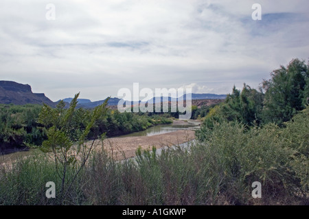 La végétation le long du fleuve Rio Grande à la frontière du Mexique Texas USA Banque D'Images