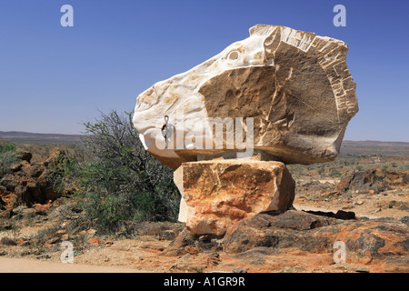 Cheval Sculpture sculptures, Broken Hill, plage de barrière, New South Wales, Australie Banque D'Images