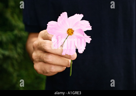 Jeune homme fleur donnant Banque D'Images