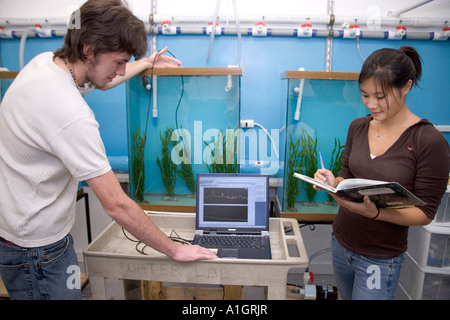 Les chercheurs de mesurer le bruit ambiant, l'Université de Floride, Banque D'Images