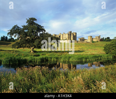 Château d'Alnwick reflétée dans la rivière de l'Aln Meadows. Northumberland, Angleterre Banque D'Images