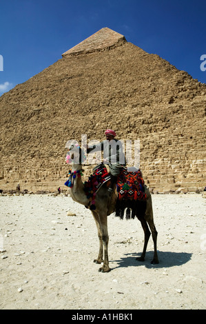 L'homme monté sur un chameau devant Chepren pyramide de Gizeh, Le Caire, Egypte Banque D'Images