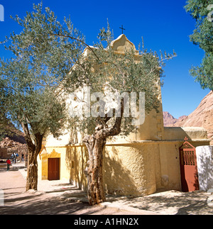 Partie de Saint Katherines monastère désert du Sinaï Egypte Afrique du Nord Banque D'Images