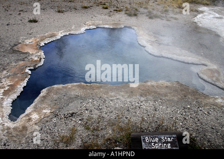 Blue Star ressort dans la partie supérieure du bassin du geyser Geyser à Hot Spring Hill à pied près de Old Faithful Parc National de Yellowstone au Wyoming Banque D'Images